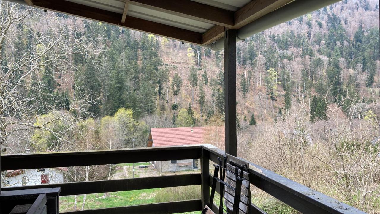 Le Chalet Du Coeur Mittlach Exterior photo