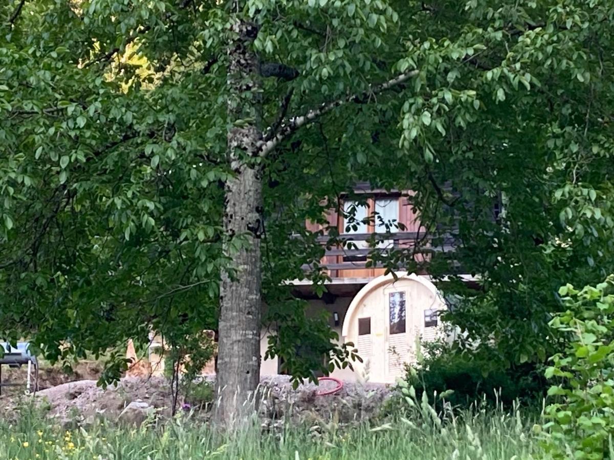 Le Chalet Du Coeur Mittlach Exterior photo